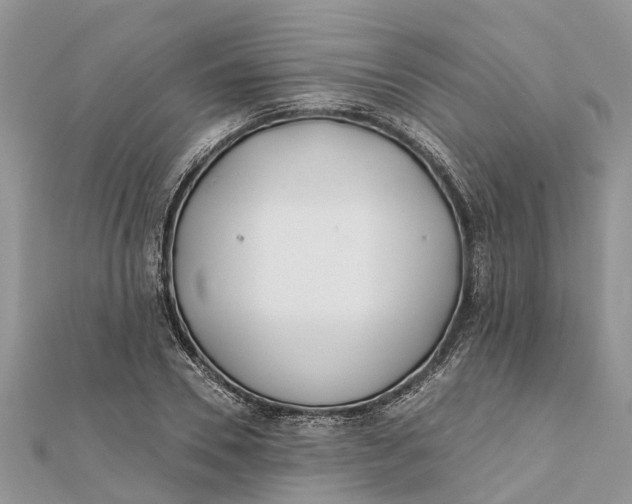 X0000112180930200908281358