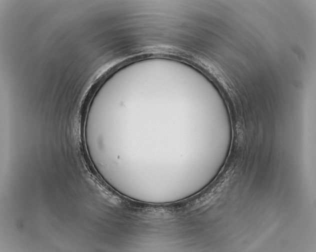 X0000112180931200908281358