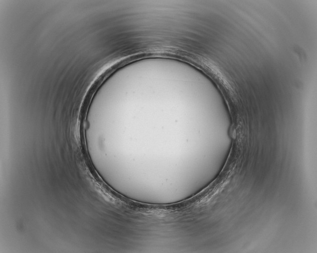 X0000112180932200908281358