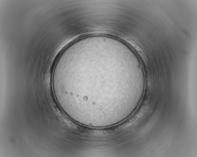 X0000112180933200908281358