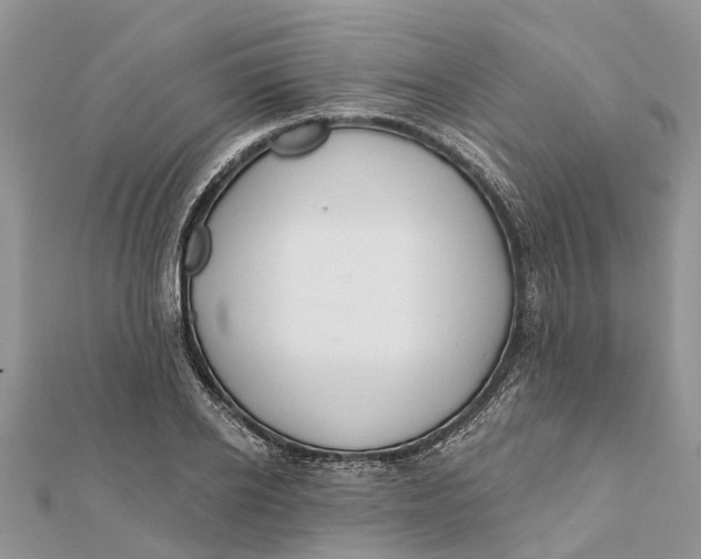 X0000112180934200908281358