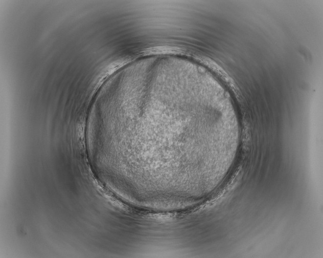 X0000112180937200908281358