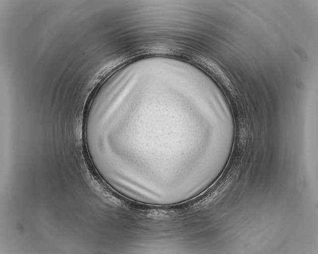 X0000112180938200908281358