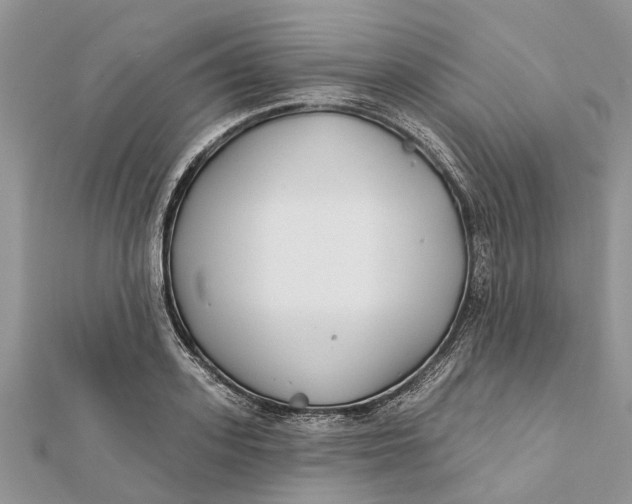 X0000112180939200908281358