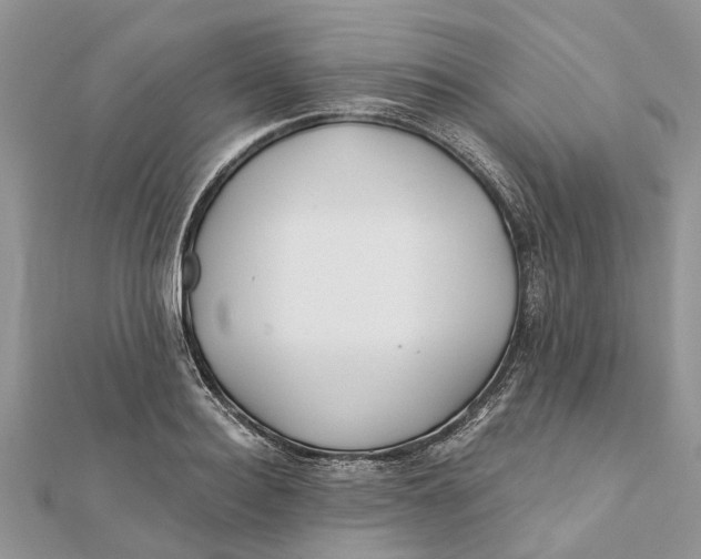 X0000112180940200908281358