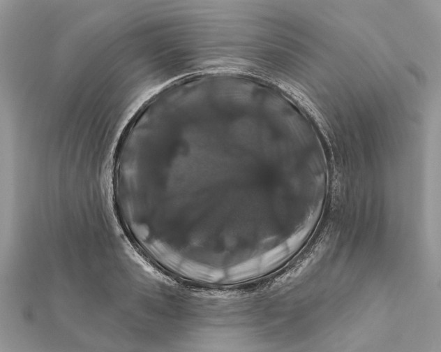 X0000112180941200908281358