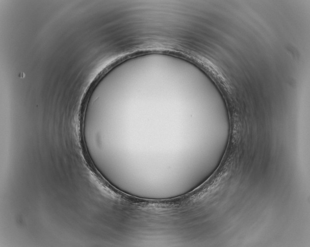 X0000112180942200908281358