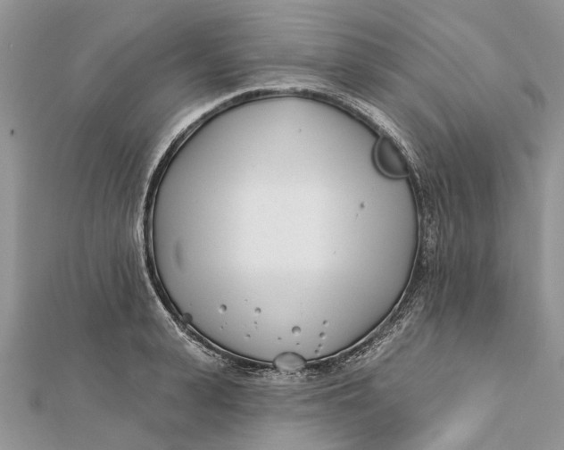 X0000112180943200908281358