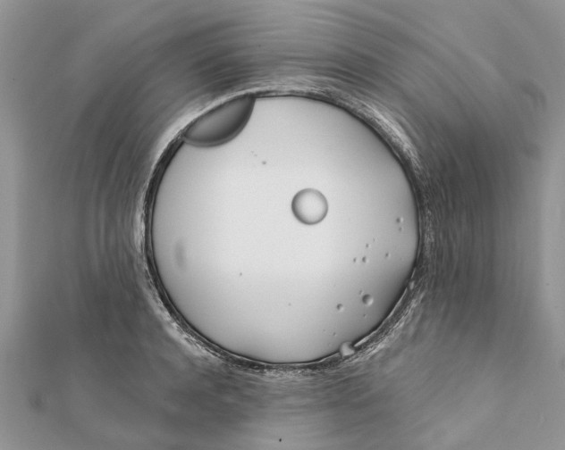 X0000112180944200908281358