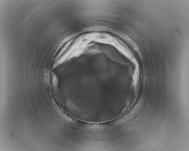 X0000112180945200908281358