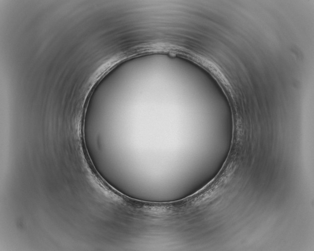 X0000112180946200908281358