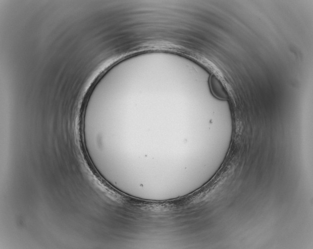 X0000112180947200908281358