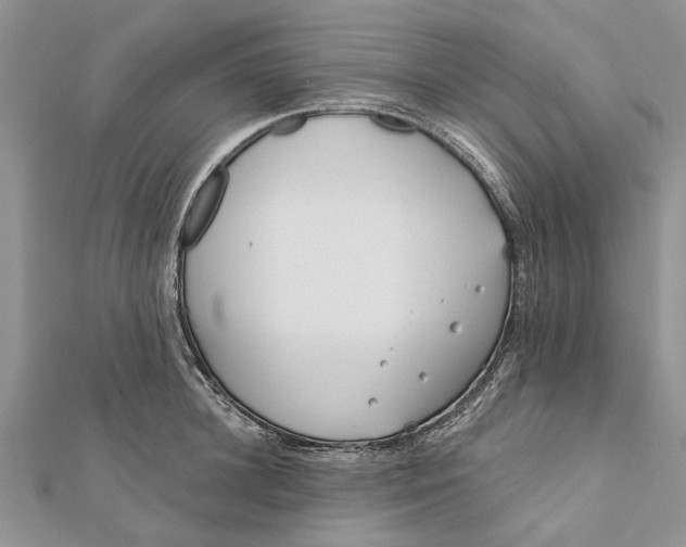 X0000112180948200908281358