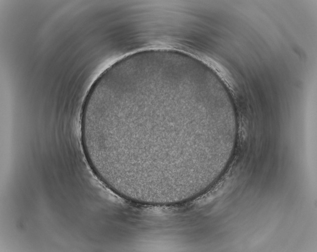 X0000112180950200908281358