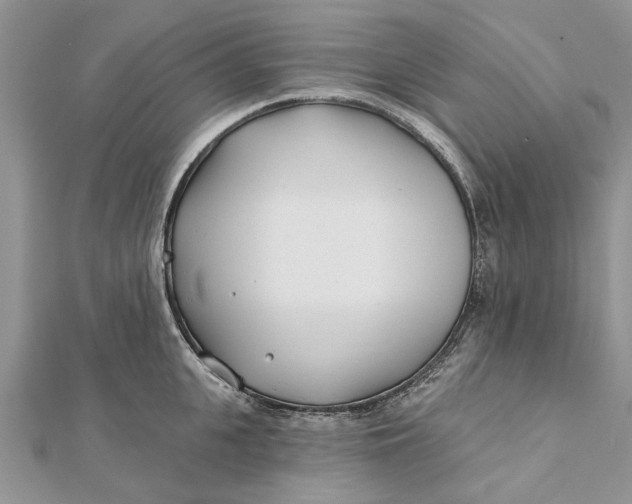 X0000112180951200908281358