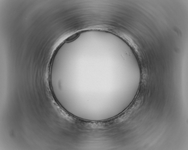 X0000112180952200908281358