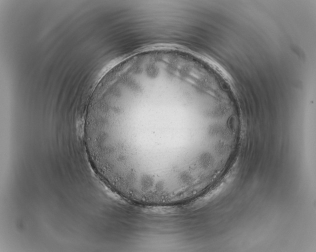 X0000112180953200908281358