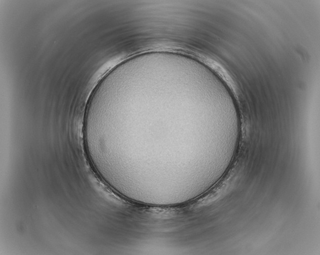 X0000112180954200908281359