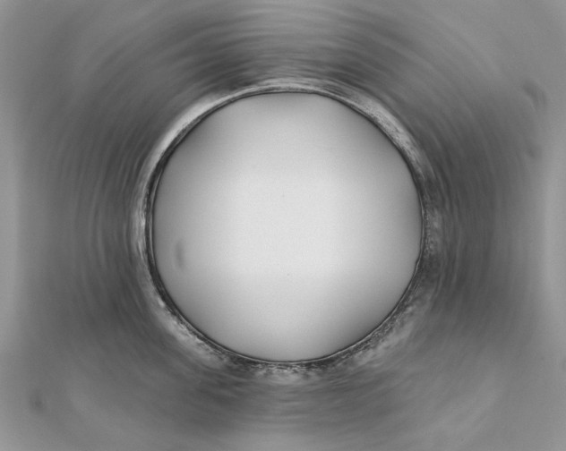 X0000112180955200908281359