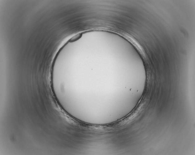 X0000112180956200908281359