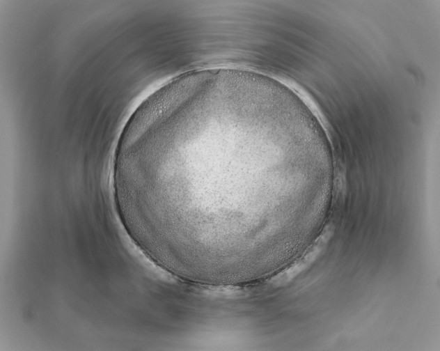 X0000112180957200908281359