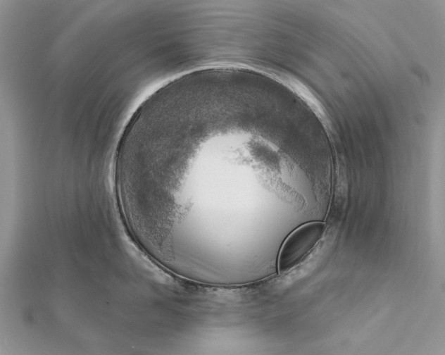 X0000112180958200908281359