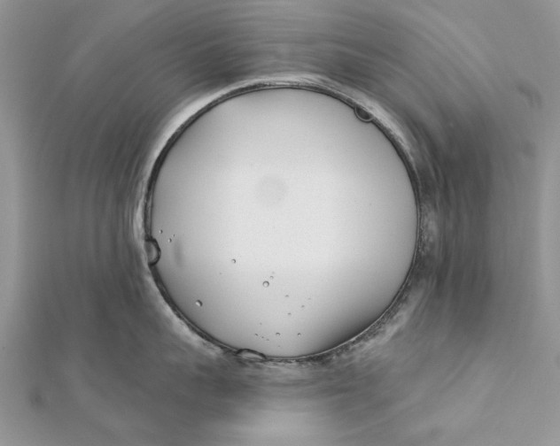 X0000112180959200908281359