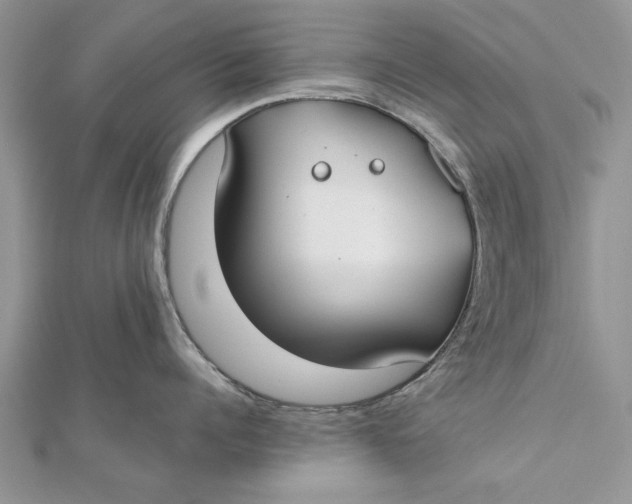 X0000112180960200908281359