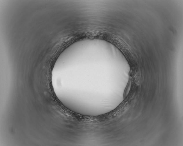 X0000112180961200908281358