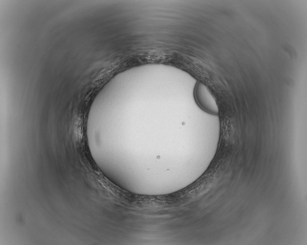 X0000112180962200908281358