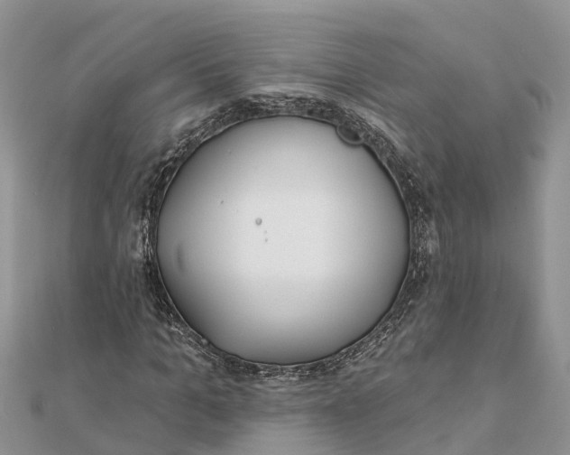 X0000112180965200908281358