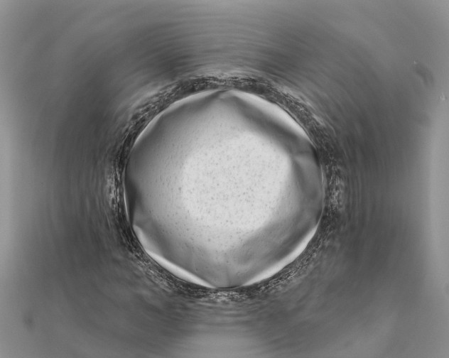 X0000112180966200908281358