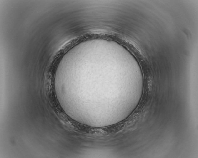 X0000112180968200908281358