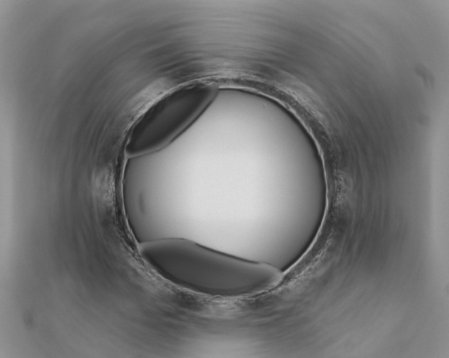 X0000112180969200908281358