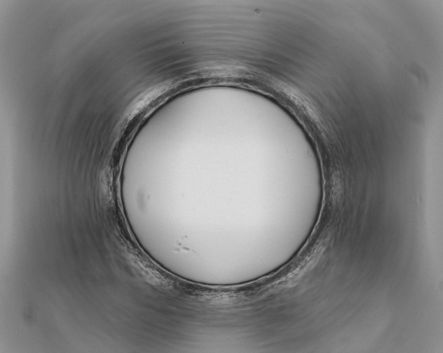 X0000112180970200908281358