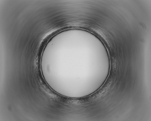 X0000112180971200908281358