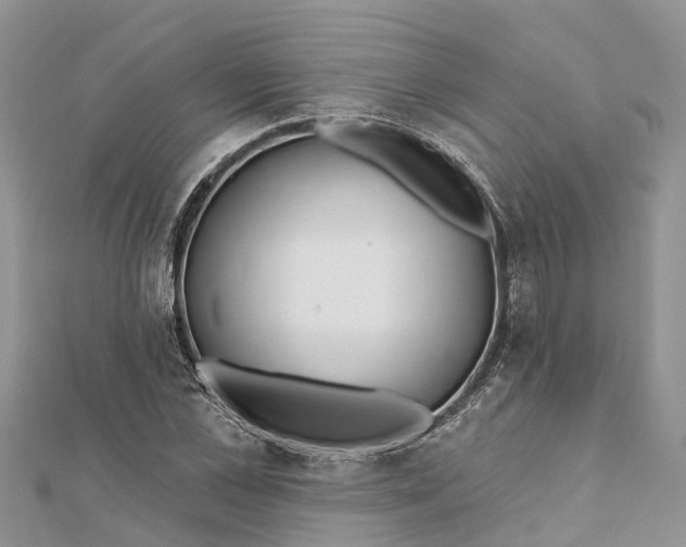 X0000112180973200908281358