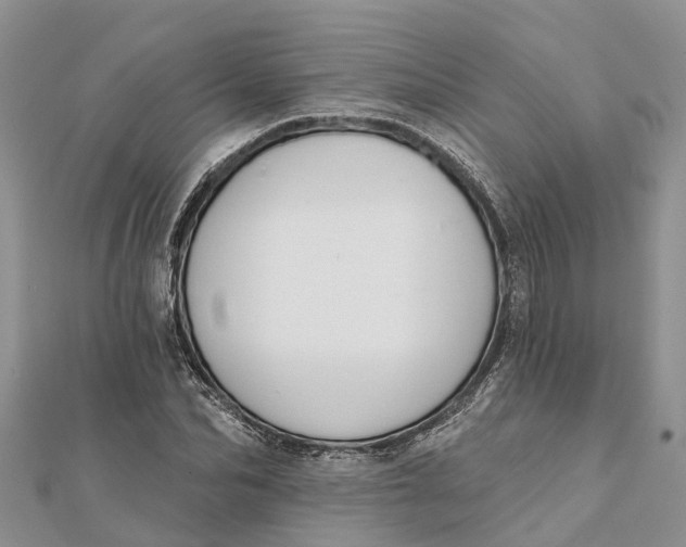 X0000112180974200908281358