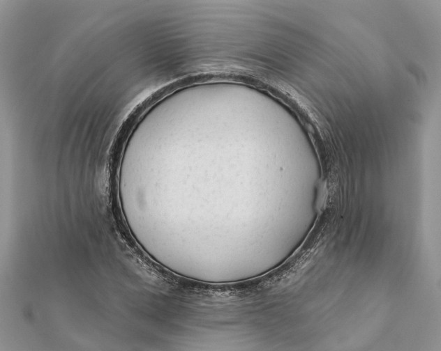 X0000112180975200908281358