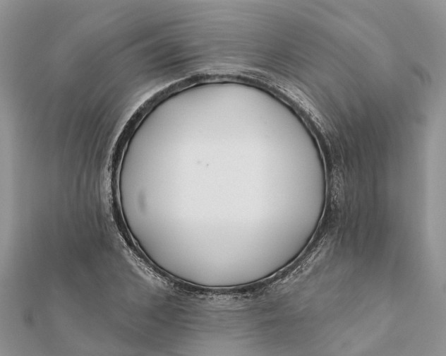 X0000112180976200908281358