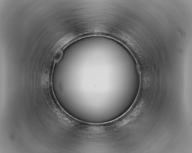 X0000112180977200908281358