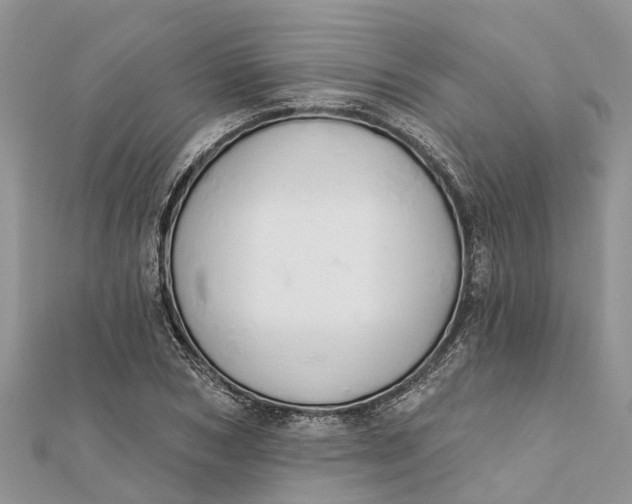 X0000112180978200908281358