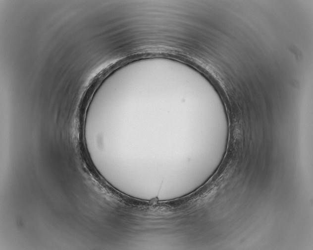 X0000112180979200908281358