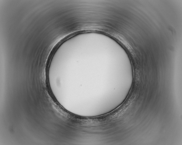 X0000112180980200908281358