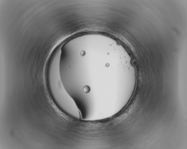 X0000112180981200908281358