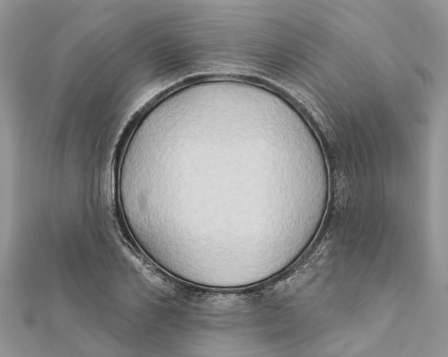 X0000112180982200908281358