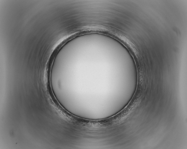 X0000112180983200908281358