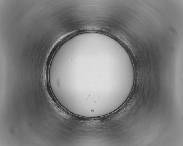 X0000112180984200908281358