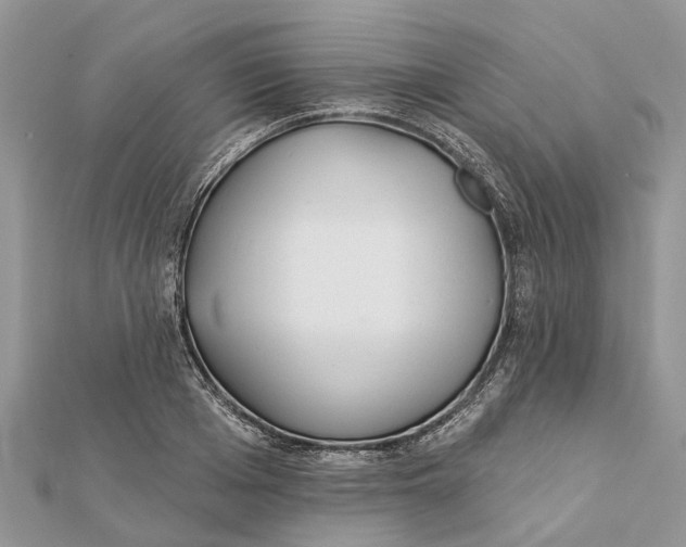 X0000112180985200908281358