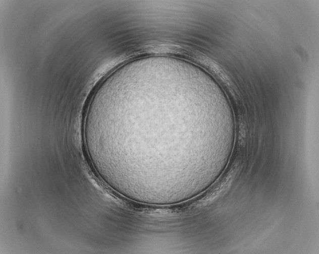 X0000112180986200908281358